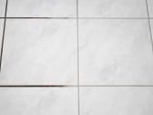 Plaunamo siurblio karcher nuoma Šiauliuose - nuotraukos Nr. 4