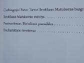 Teofiliaus Matulionio, vyskupo, beatifikacija - nuotraukos Nr. 3