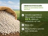 Granuliuotos kalkės