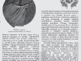 Medaliai: popiežius Jonas Paulius II. 1993 "Dailė" - nuotraukos Nr. 3