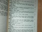 Jauniems tėvams - P. Šimulis, A. Vingras - nuotraukos Nr. 8