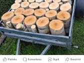 Pigiausios malkos parsivešti patiems - nuotraukos Nr. 26