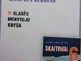 Skaitiniai : mokytojo knyga 6 kl / Laima Abraitytė