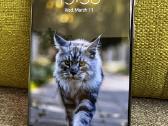 Samsung S20