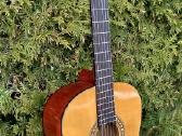 Klasikine gitara. - nuotraukos Nr. 2