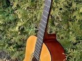 Klasikine gitara. - nuotraukos Nr. 5