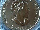 Moneta Canada 2015m. 5 dollars, sidabras(.999) - nuotraukos Nr. 2