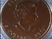 Moneta Canada 2015m. 5 dollars, sidabras(.999) - nuotraukos Nr. 2