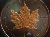 Moneta Canada 2015m. 5 dollars, sidabras(.999)