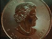 Moneta Canada 2015m. 5 dollars, sidabras(.999) - nuotraukos Nr. 2
