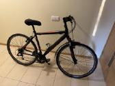 Dviratis Shimano Muddyfox