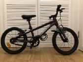 Dviratis Orbea Mx 16 - nuotraukos Nr. 2