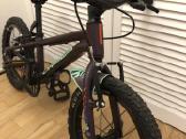 Dviratis Orbea Mx 16 - nuotraukos Nr. 3
