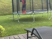 Batutas Zipro Jump Pro 8ft, 252 cm, su tinklu - nuotraukos Nr. 2