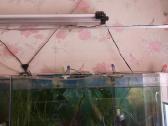 Akvariumas terariumas
