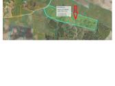 Parduodamas 13,27 ha žemės ūkio paskirties sklypas - nuotraukos Nr. 6