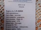 Parduodamas šeimyninis laivelis - nuotraukos Nr. 12