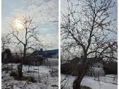 Vaismedžių genėjimas/purškimas - nuotraukos Nr. 4