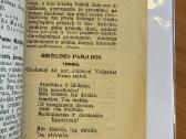 Pridedamosios pamaldos 1927 m. - nuotraukos Nr. 4
