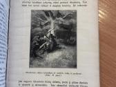 Šventoji senojo ir naujojo įstatymo istorija 1922 - nuotraukos Nr. 7