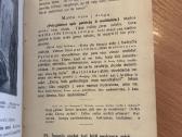 Šventoji senojo ir naujojo įstatymo istorija 1922 - nuotraukos Nr. 8