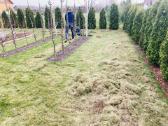 Gyvatvoriu karpymas, medziu genejimas, purskimas - nuotraukos Nr. 14