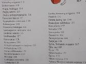 Kaip Išsirinkti Šunį: 100 Šunų Veislių - nuotraukos Nr. 4