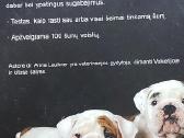 Kaip Išsirinkti Šunį: 100 Šunų Veislių - nuotraukos Nr. 8