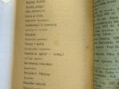 Mūsų stabas 1928 - nuotraukos Nr. 6