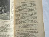 Šventoji Naujojo įstatymo istorija 1935 - nuotraukos Nr. 5
