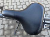 Gazelle eclipse Limited edition - nuotraukos Nr. 9