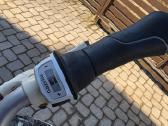 Gazelle eclipse Limited edition - nuotraukos Nr. 11