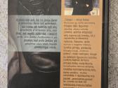 Trilogija"andželos pelenai" - nuotraukos Nr. 3