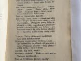 Kazio Puidos raštų rinkinys. Tomas Iv. Dramos 1912 - nuotraukos Nr. 3
