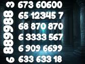 Lengvas VIP numeris 3333 111 888 už 35€ - nuotraukos Nr. 2