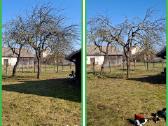 Gyvatvorių karpymas. Jonava, Kaunas, Ukmergė - nuotraukos Nr. 3