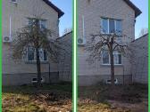 Gyvatvorių karpymas. Jonava, Kaunas, Ukmergė - nuotraukos Nr. 6