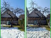Gyvatvorių karpymas. Jonava, Kaunas, Ukmergė - nuotraukos Nr. 10