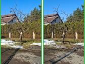 Gyvatvorių karpymas. Jonava, Kaunas, Ukmergė - nuotraukos Nr. 11