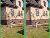 Gyvatvorių karpymas. Jonava, Kaunas, Ukmergė - nuotraukos Nr. 12