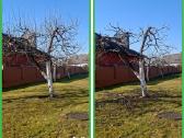 Gyvatvorių karpymas. Jonava, Kaunas, Ukmergė - nuotraukos Nr. 17