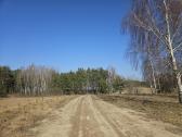 Žemės sklypas 1,09 ha - nuotraukos Nr. 4