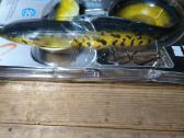 Savage gear 50cm. 400gr - nuotraukos Nr. 2