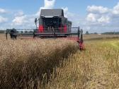 Massey Ferguson Mf 7345 activa su Power Flow 6 m. - nuotraukos Nr. 7