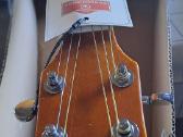 Elektro akustinė gitara