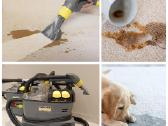 Karcher plaunančio plaunamo siurblio Nuoma - nuotraukos Nr. 12