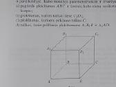 Geometrija 10 - nuotraukos Nr. 5