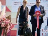 Cane Corso šuniukai su kilmės dokumentais - nuotraukos Nr. 8