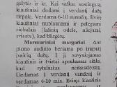Velykų vaišės - nuotraukos Nr. 4