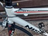 Plentinukas nishiki criterium - nuotraukos Nr. 4